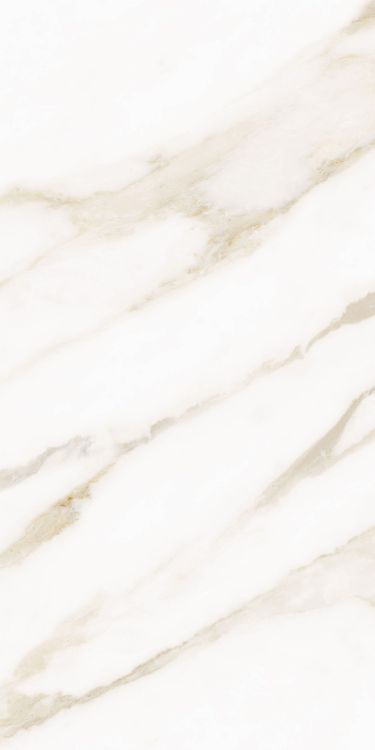 Classy Warm White Matte 12 x 24